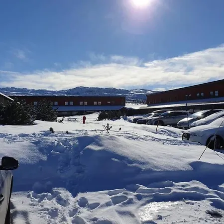 Апартаменты Stor Barnevennlig Ховден